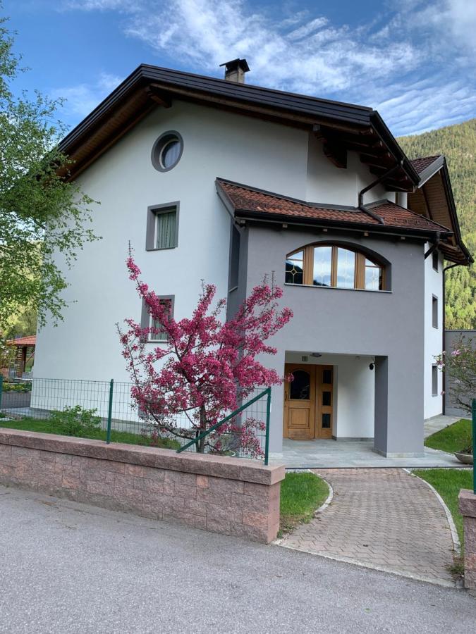 Angeli Dolomiti House Daire Croviana Dış mekan fotoğraf