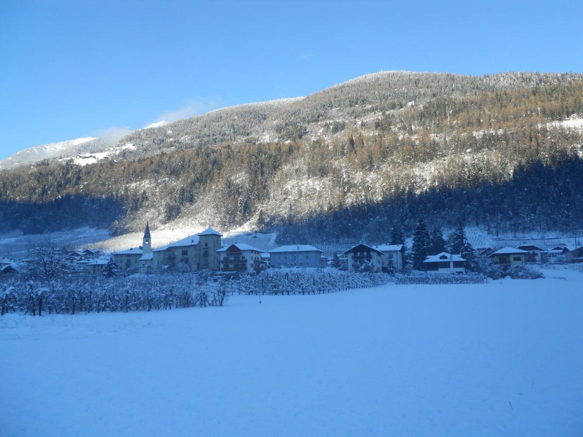 Angeli Dolomiti House Daire Croviana Dış mekan fotoğraf