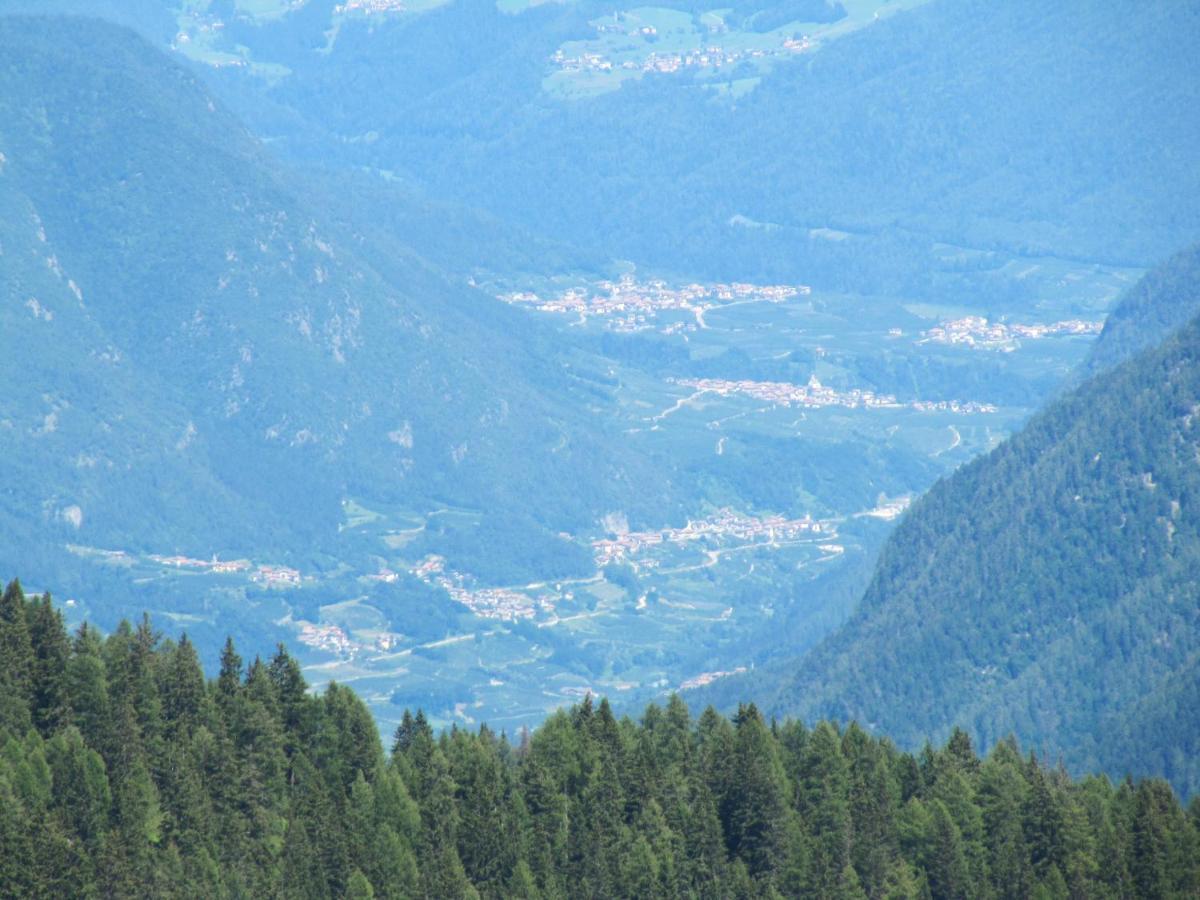 Angeli Dolomiti House Daire Croviana Dış mekan fotoğraf