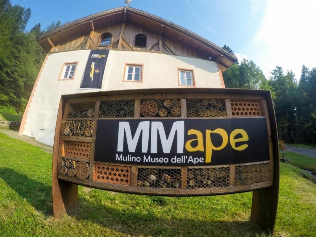 Angeli Dolomiti House Daire Croviana Dış mekan fotoğraf