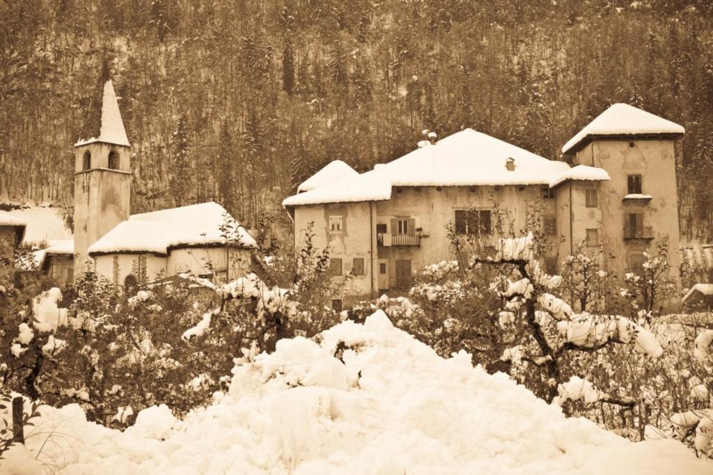 Angeli Dolomiti House Daire Croviana Dış mekan fotoğraf